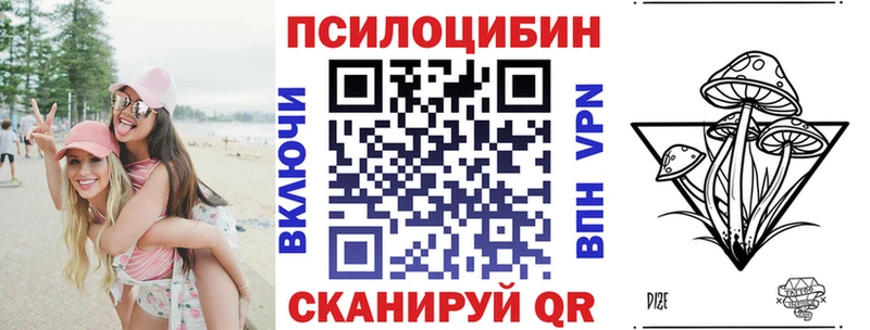 Псилоцибиновые грибы Psilocybe  купить закладку  Тотьма 